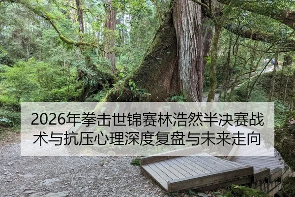 2026年拳击世锦赛林浩然半决赛战术与抗压心理深度复盘与未来走向